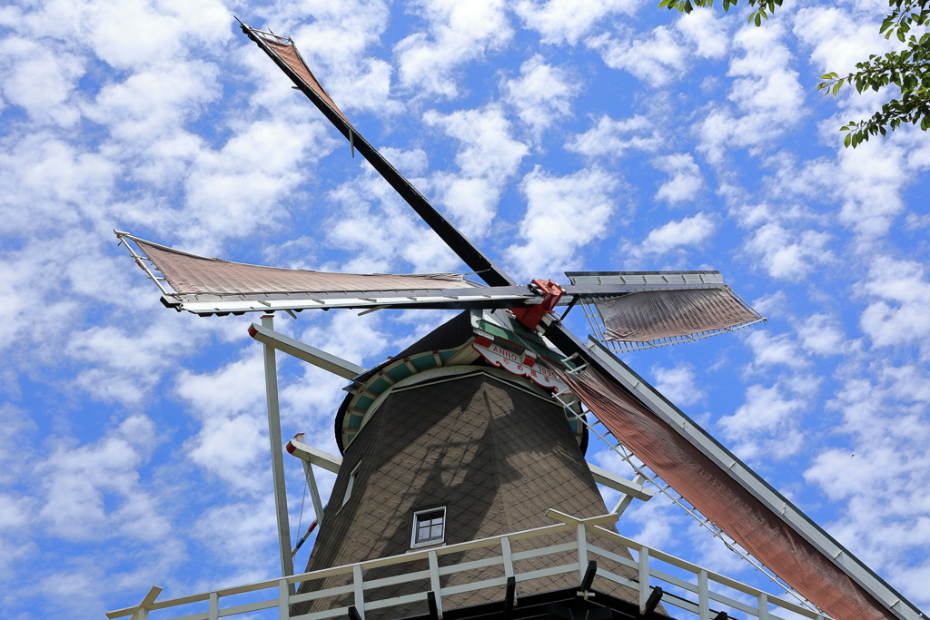 心地よい風の日