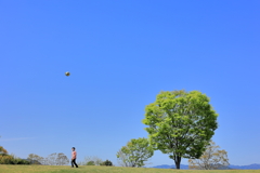 青空の下