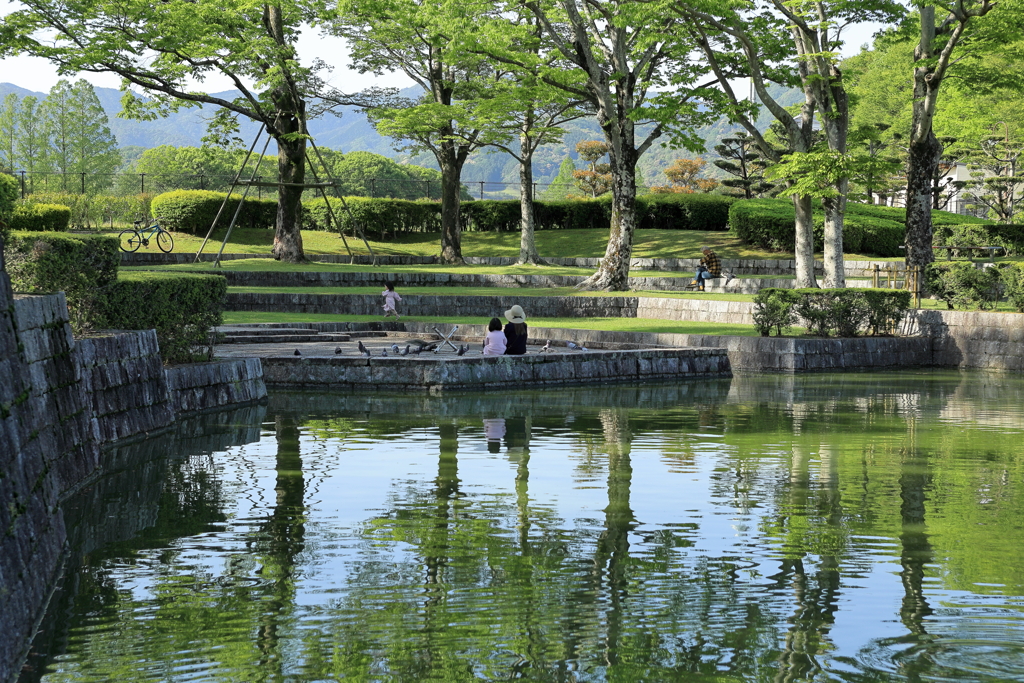 休日の公園