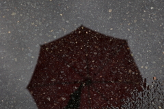 雨の日