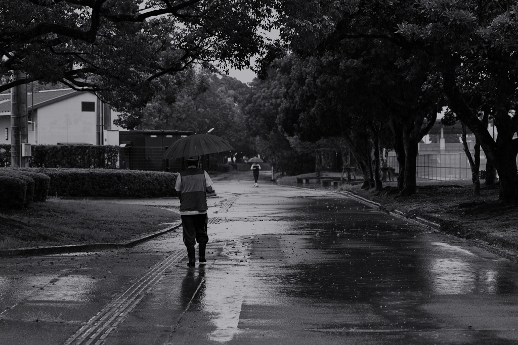 雨、降ってます