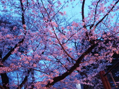 95DC5B09-B73D-4015-A054-C81CB7820E89