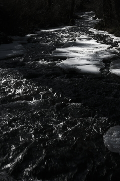 冬の河