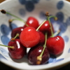 サクランボ
