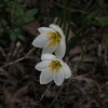 IMG_2085 (4)