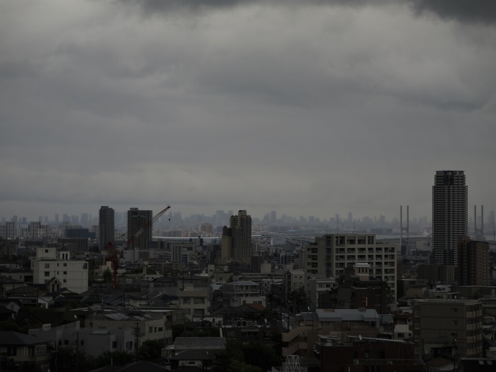 曇曇