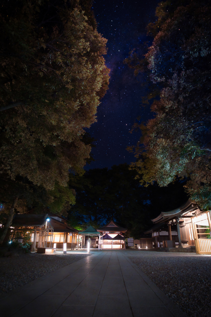 川越氷川神社