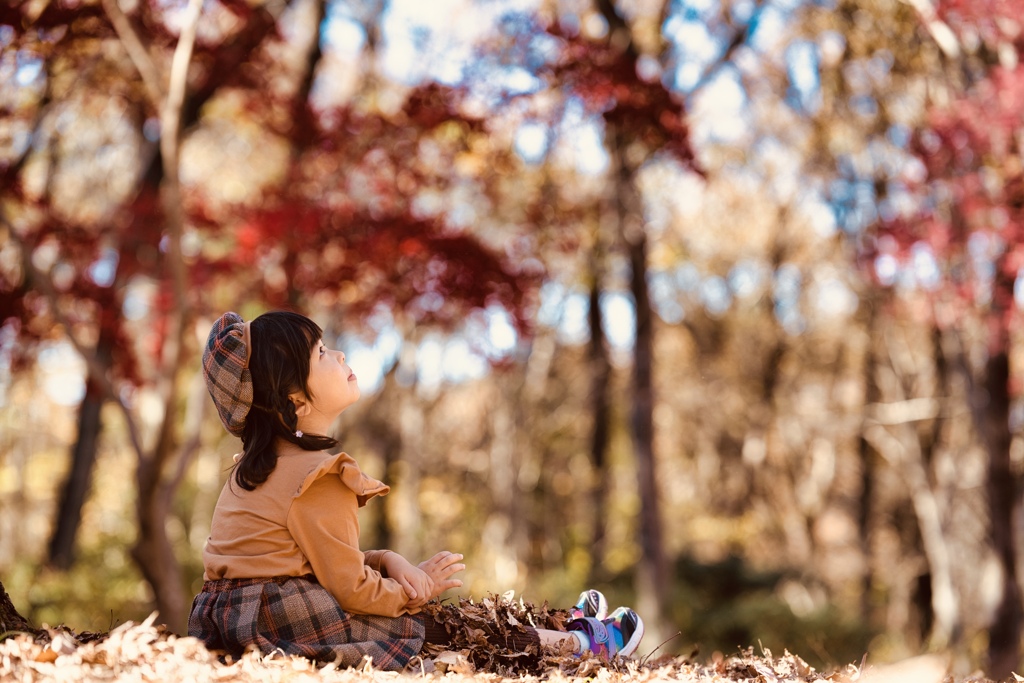 紅葉を見上げて