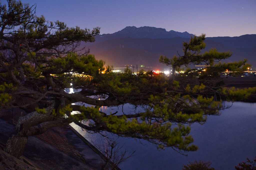 松の木　夕闇　石鎚山。