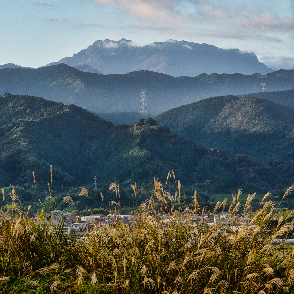 『秋の早朝』×『すすき野』×『石鎚山』