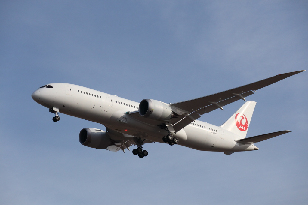 JAL B787 Test Flight