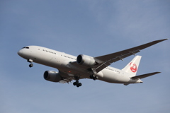 JAL B787 Test Flight