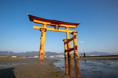 厳島神社　大鳥居