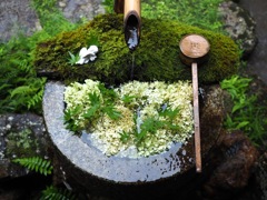 雨の日の花手水