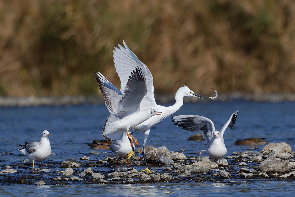 自然は厳しい３