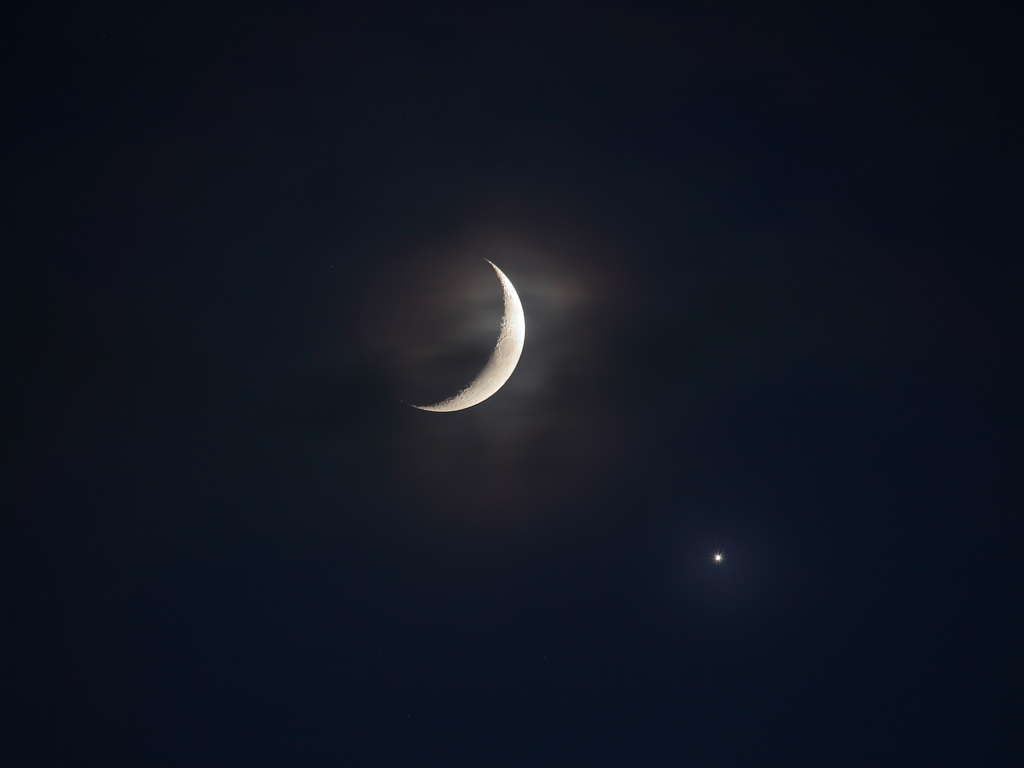 金星食後