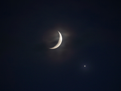 金星食後