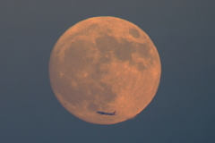 名月と飛行機