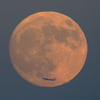 名月と飛行機