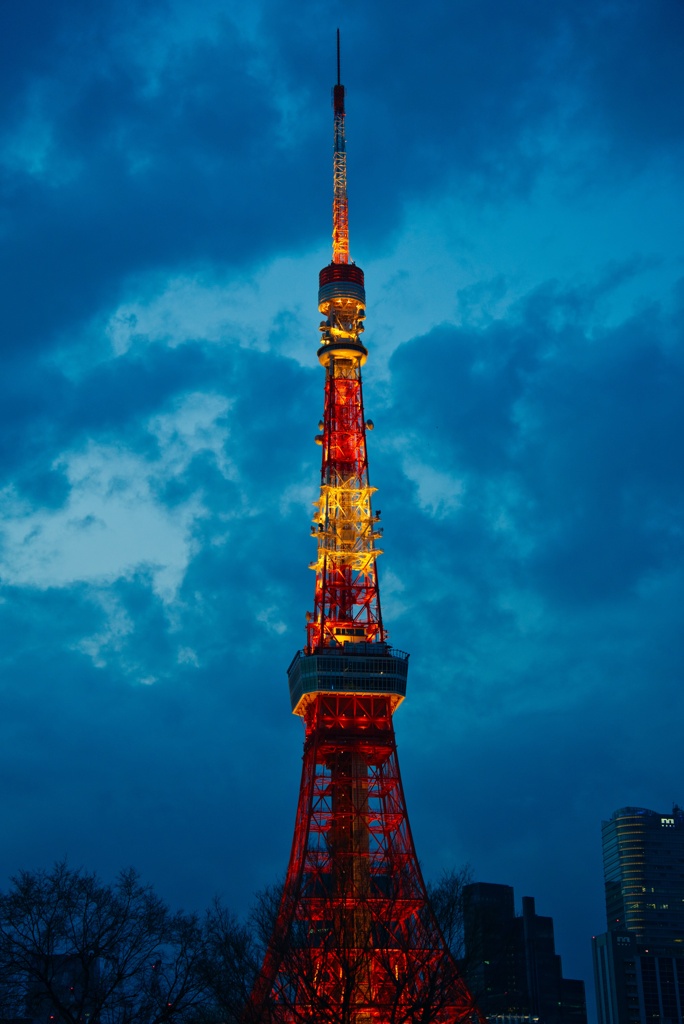 ブルーモーメントの東京タワー