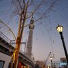 夕暮れの東京スカイツリー