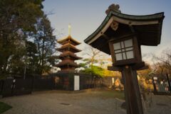 上野東照宮の五重塔の夕暮れ