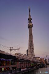 夕暮れ時の東京スカイツリーと電車