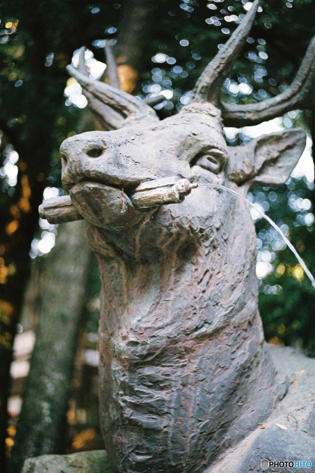 神鹿