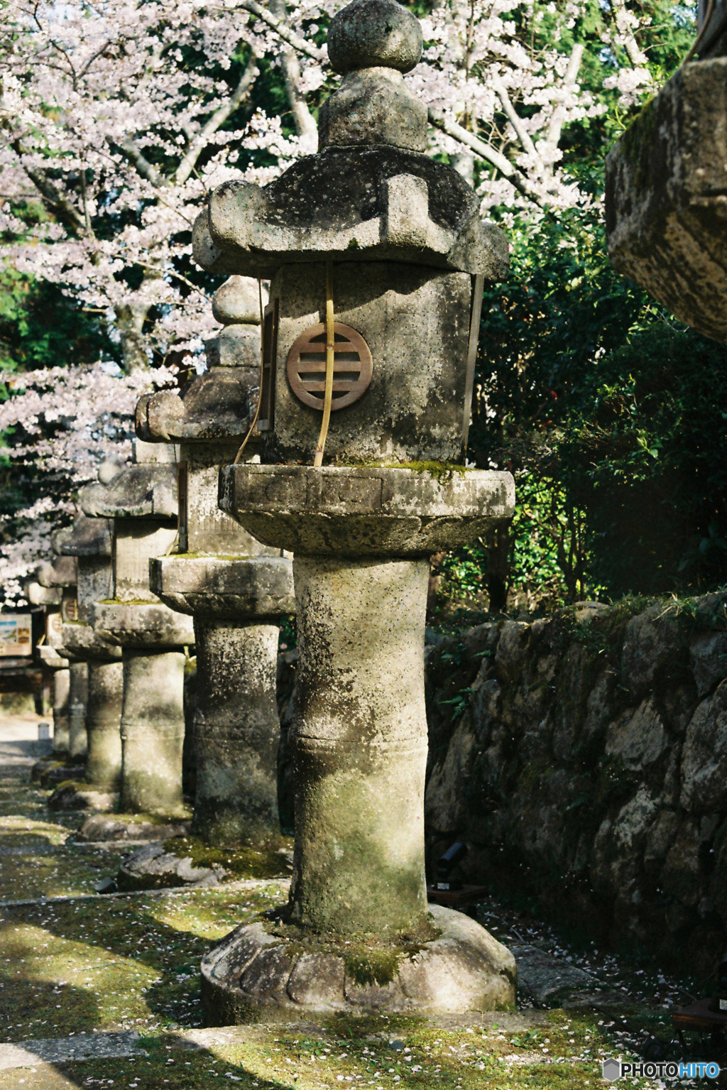 並ぶ灯篭