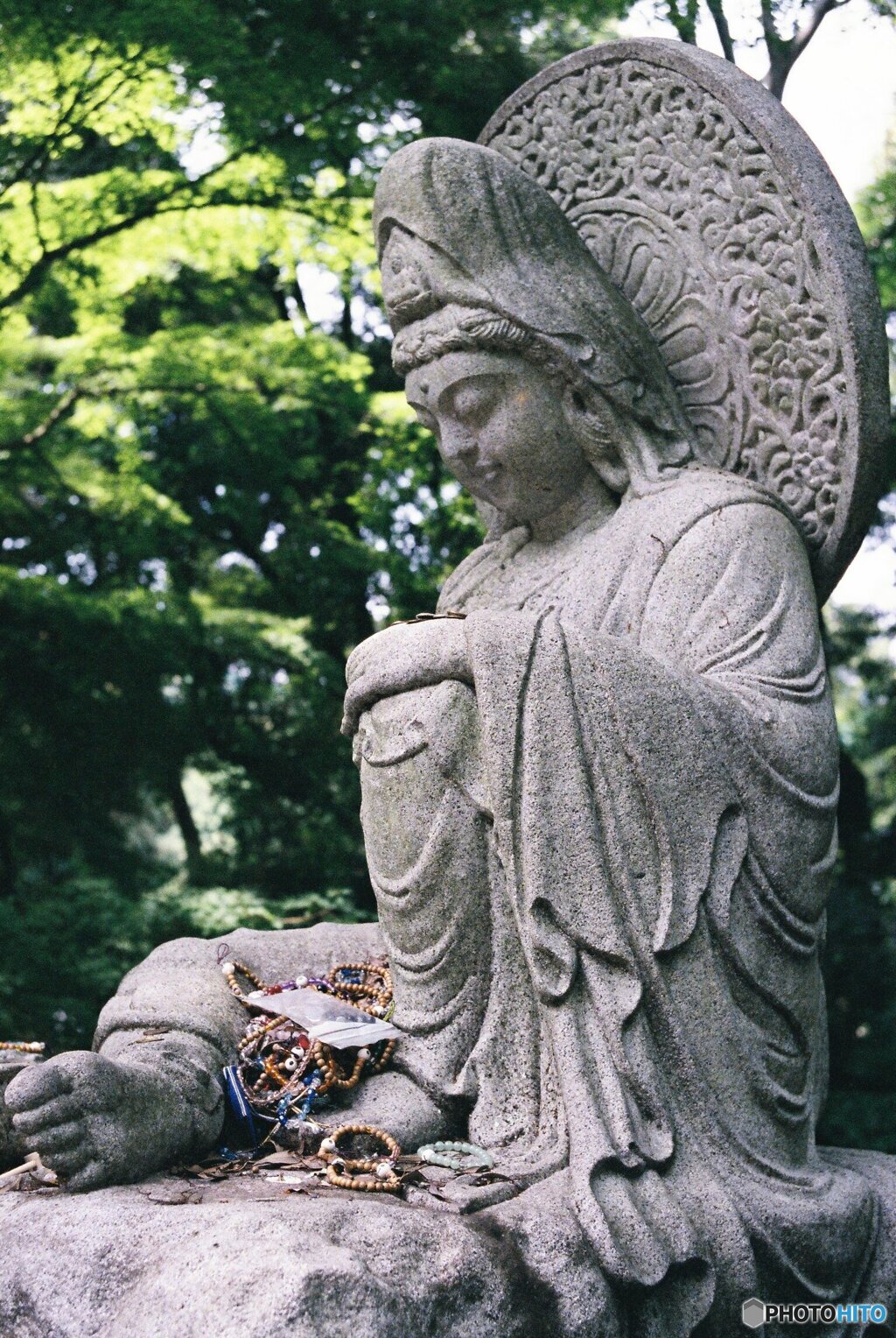 深緑の観音様