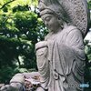 深緑の観音様