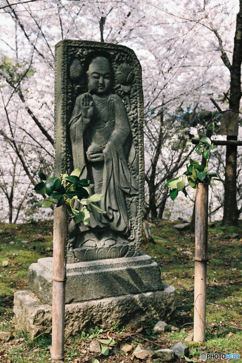 春の石仏
