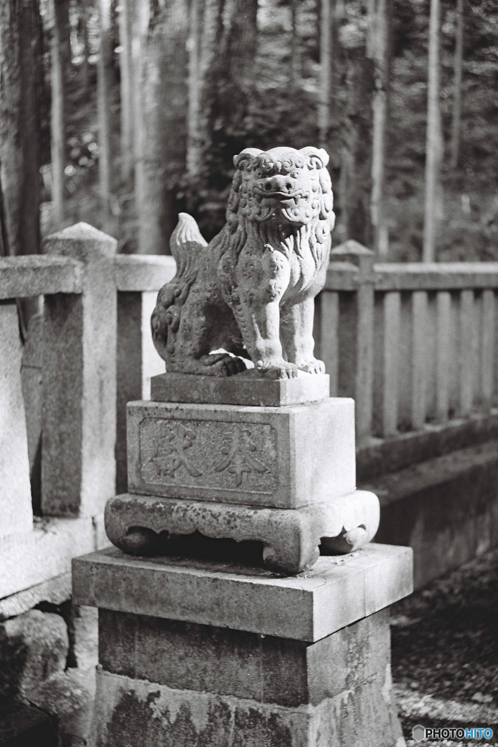 狛犬　吽形