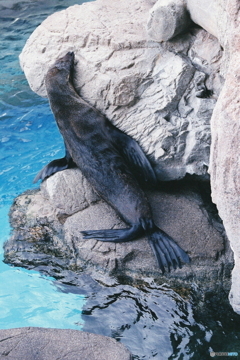 お気に入りの場所