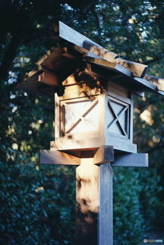 木陰の御神灯