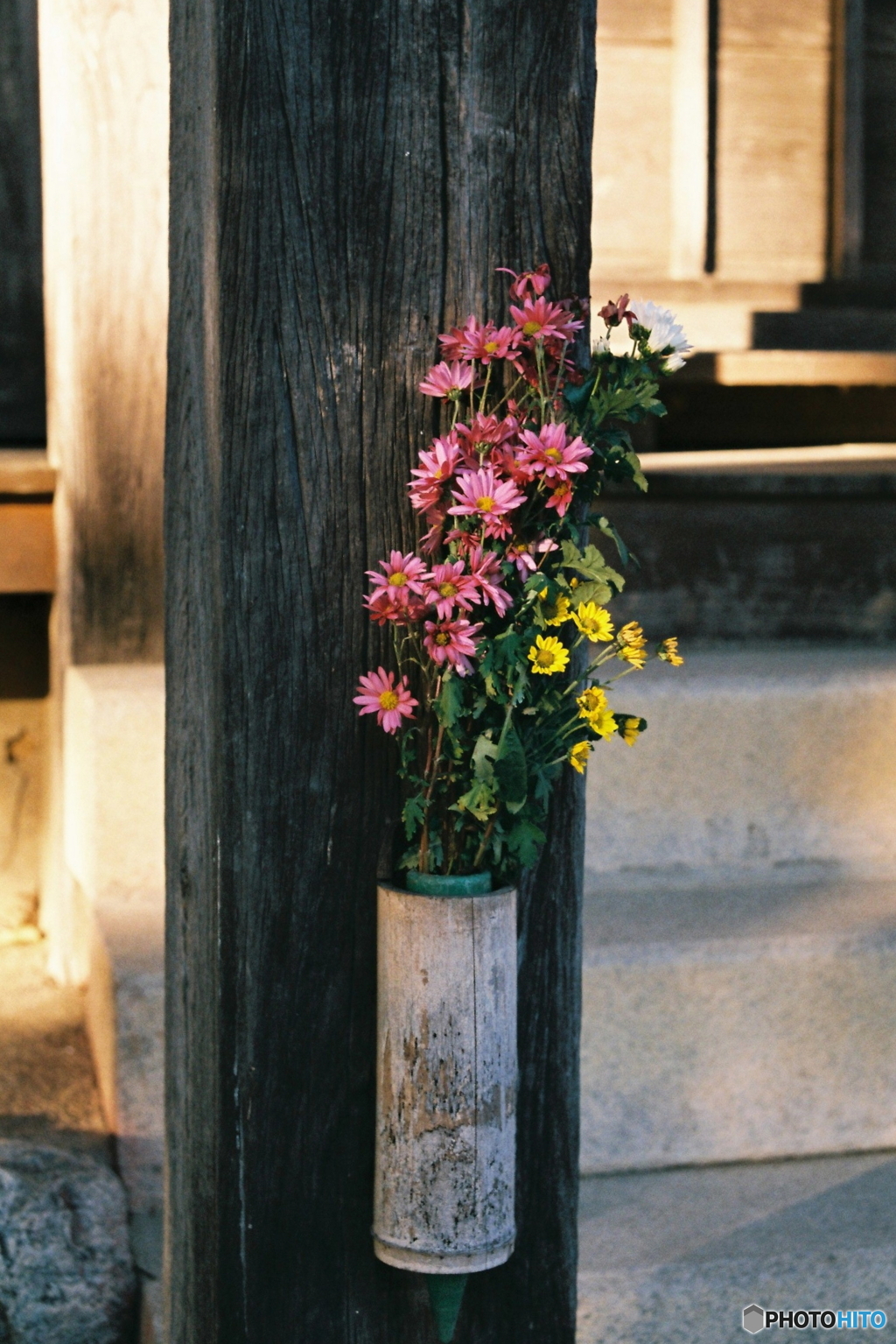 夕暮れの供花