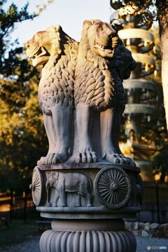 夕暮れのアショカ・ピラー