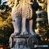 夕暮れのアショカ・ピラー