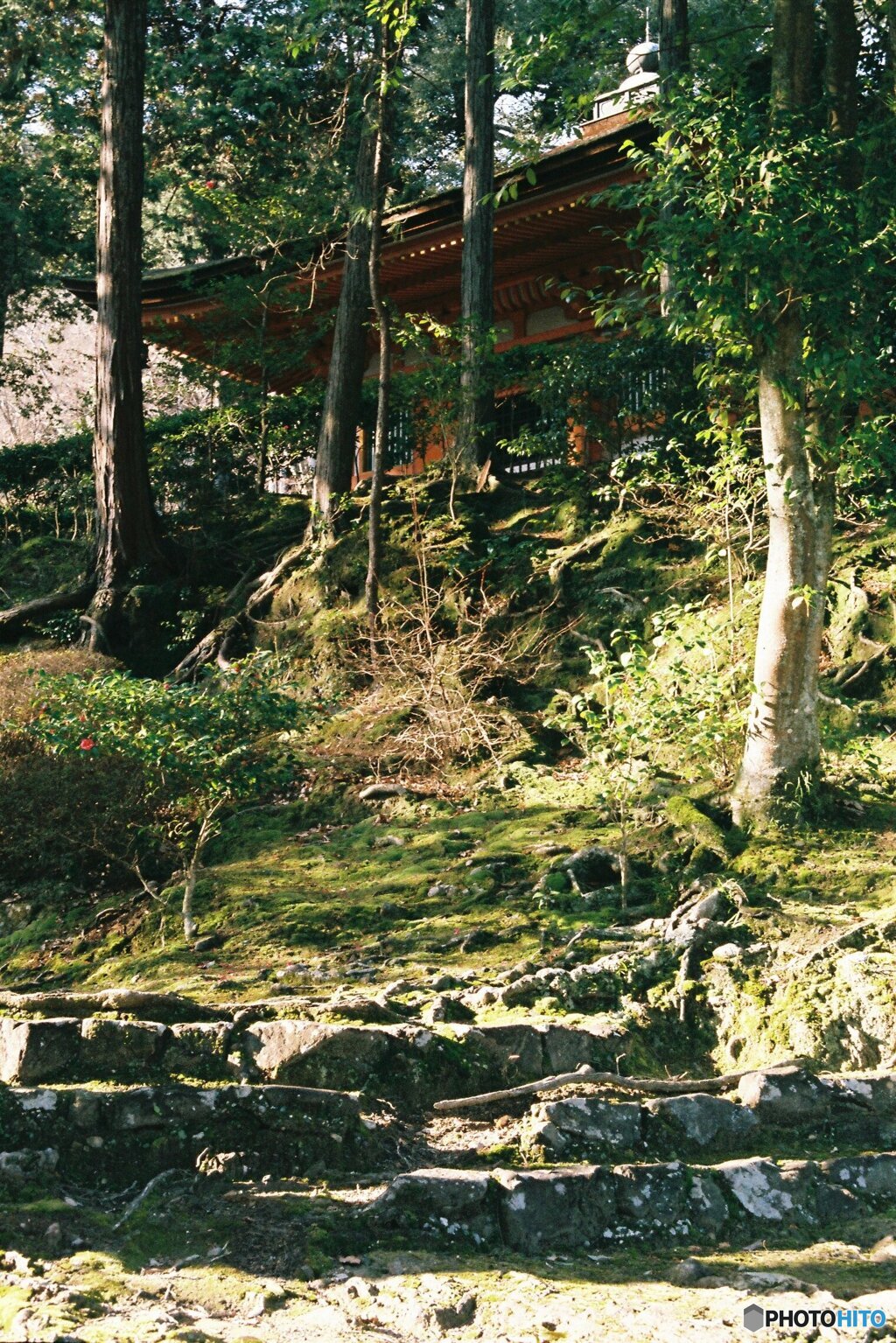 苔と林と朱いお堂
