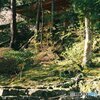 苔と林と朱いお堂