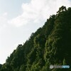 夕暮れ時の山