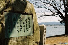 琵琶湖の水