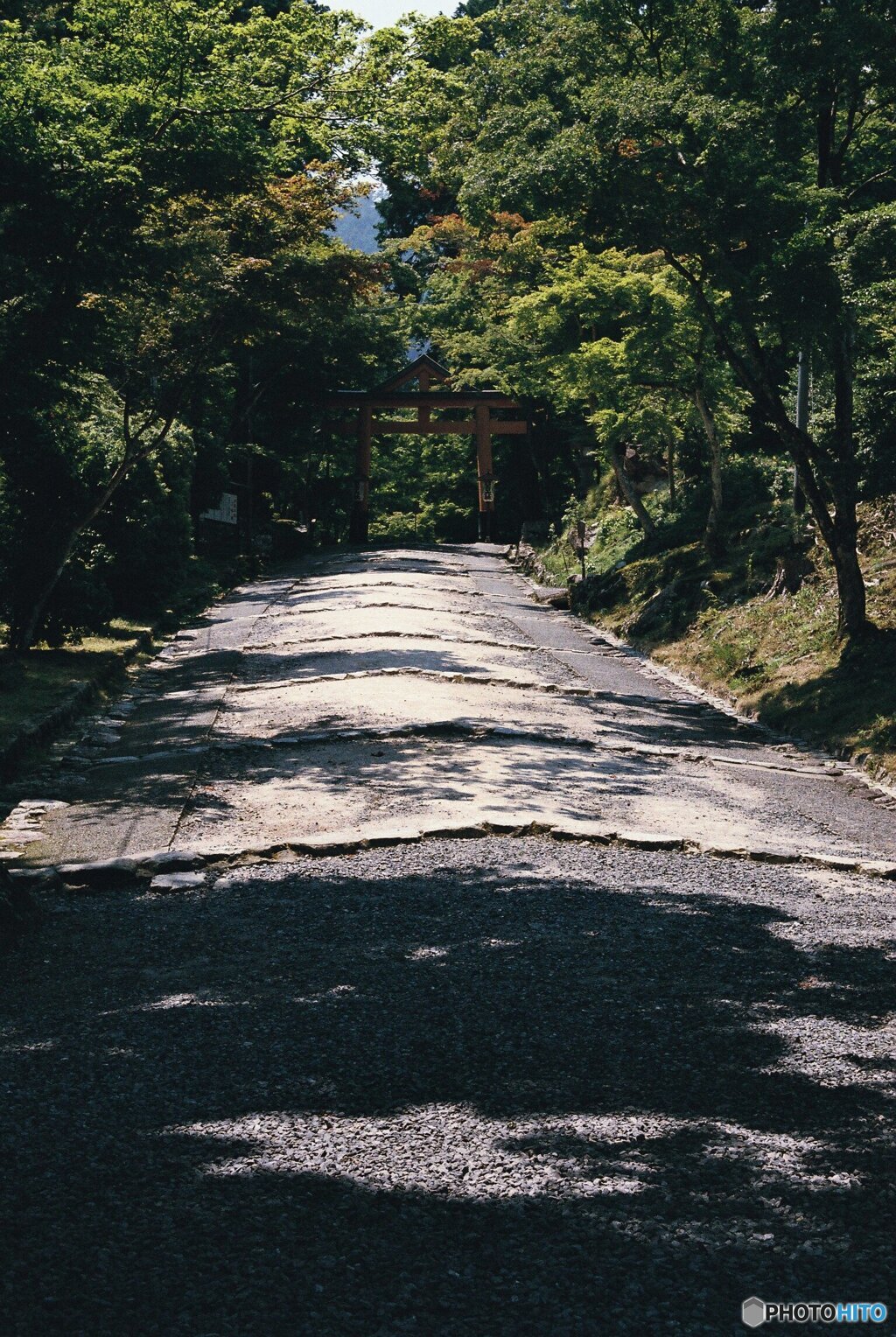 夏の参道