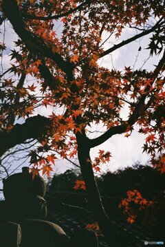 秋の石灯篭