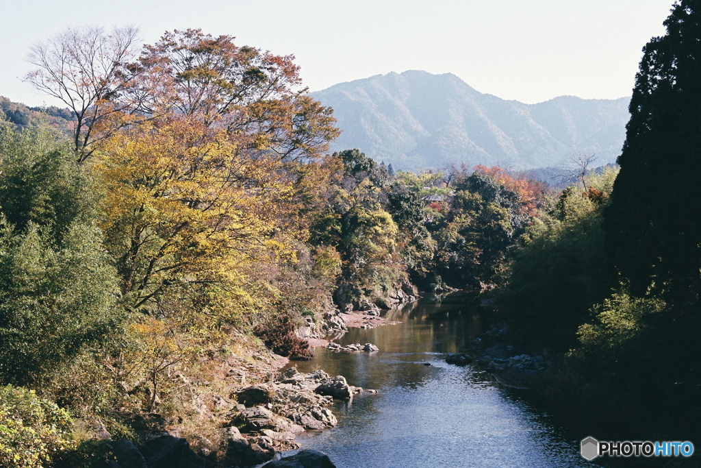 秋の犬上川