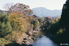 秋の犬上川