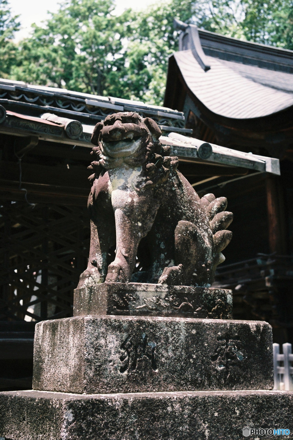 笑っている様な狛犬