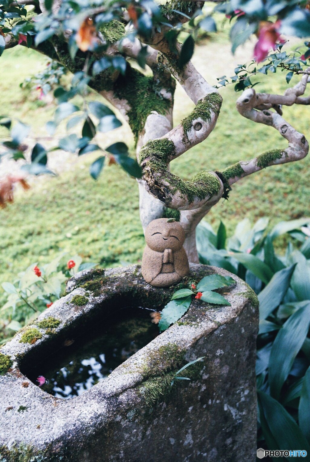 小さな仏様