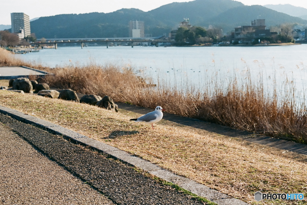 独り佇んで