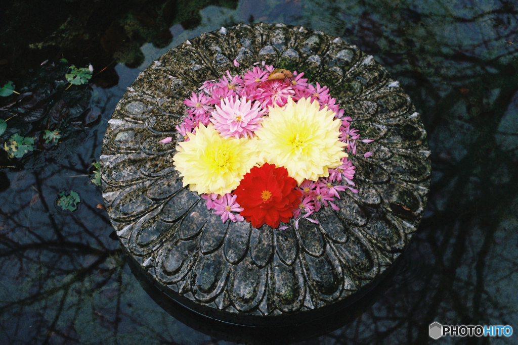 池の花飾り